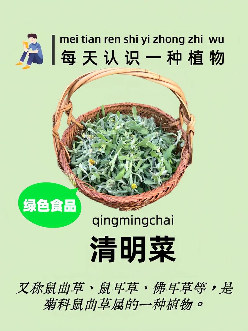 第300页
