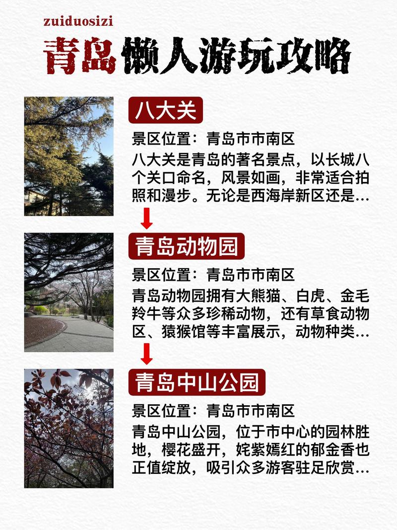 清明假期，青岛这些活动一键收藏！