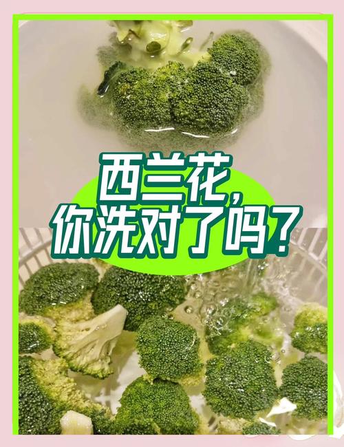 西蘭花只用鹽和麵粉洗，等於吃蟲卵！教你一招，洗的乾淨吃
