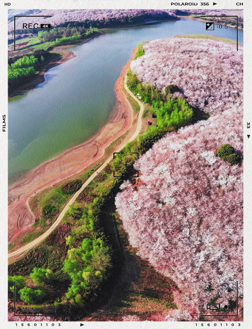 人间四月天，来贵州“追花”吧，赴一场春日之约~