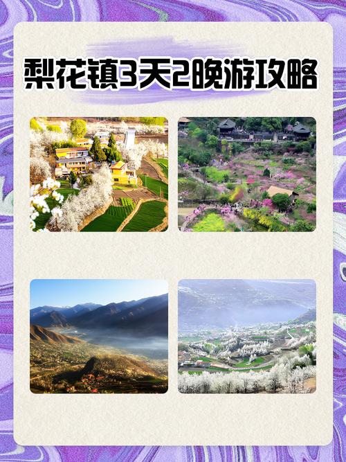 千亩梨花海 国风穿越！山东这个小镇藏着怎样的春日盛宴？