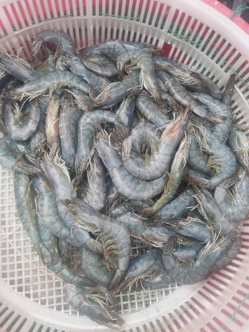 这个季节河里的鱼虾总是特别美味！