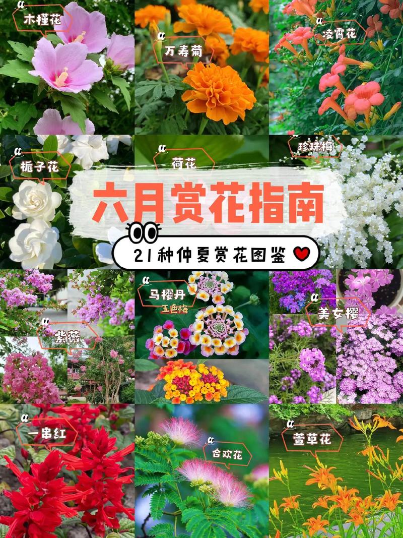 本季KPI：在你的朋友圈卷出新高度！略阳赏花图鉴→