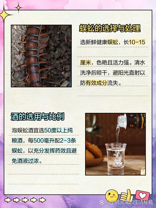 大叔吃油炸蜈蚣不过瘾，10条活蜈蚣泡酒，几天就能喝