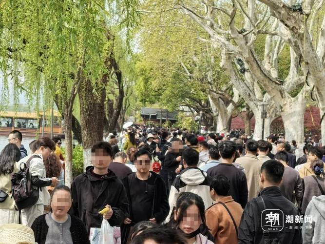开了3小时还没出上海，有人原地放弃…网友：想到人会多，没想到这么多！