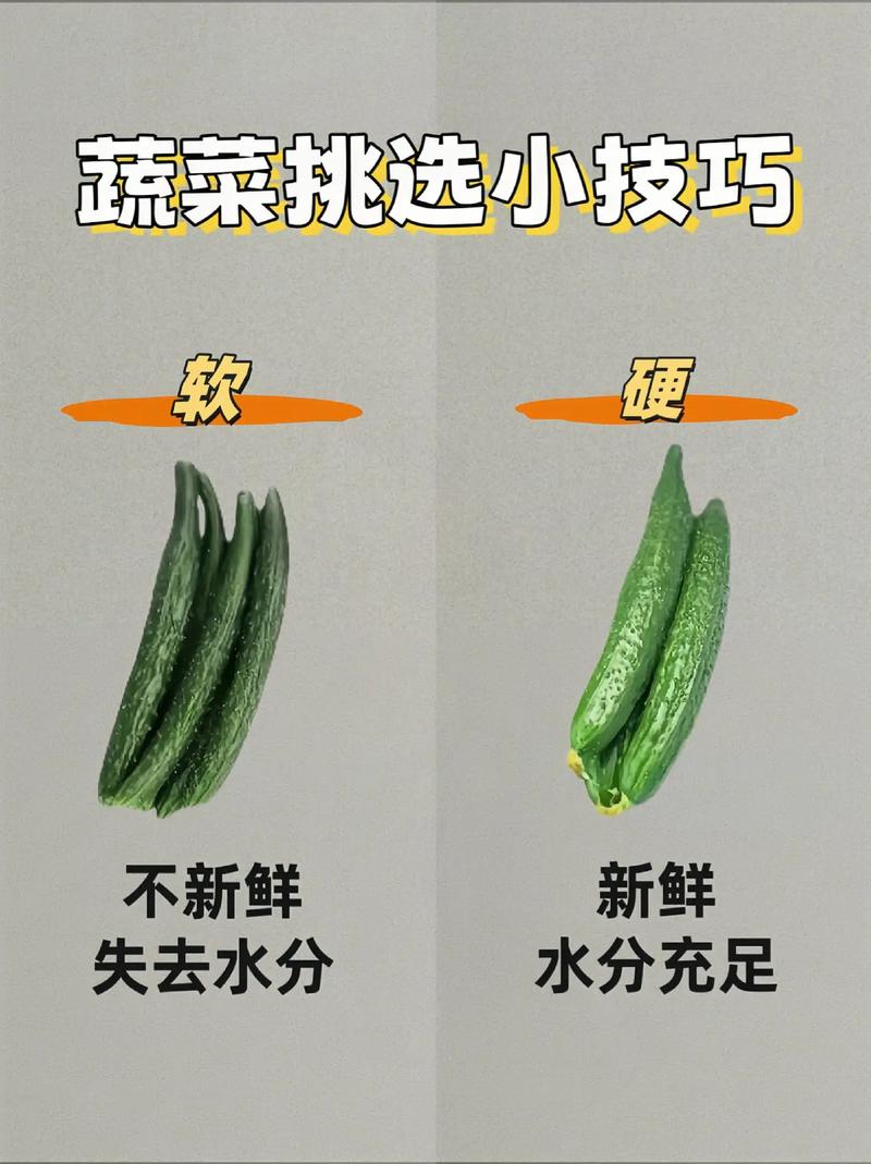 生活小常识:蔬菜挑选技巧，经常煮饭的人，收藏起来看看吧