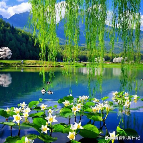 春和景明，万物复苏～快来花都临夏一起给春天和你按下快门！