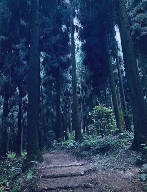 私藏已久的超冷门免费徒步秘境，成都周边1.5h，清明节就可以去！