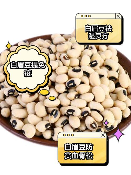 这种食物被赞为“祛湿第一豆”药用、食用价值都很高！