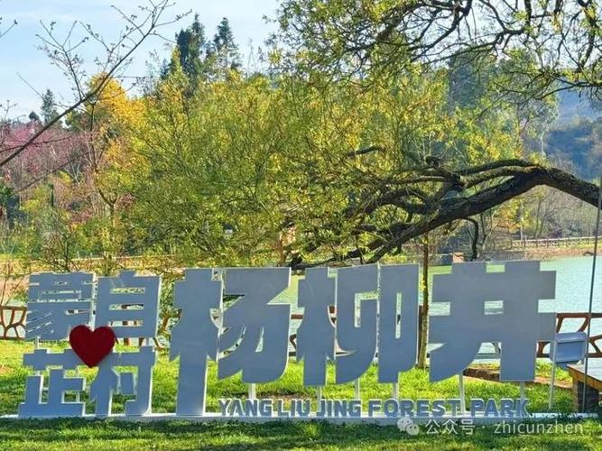 探秘蒙自杨柳井森林氧吧：招商优势大起底，谁能抢先入局