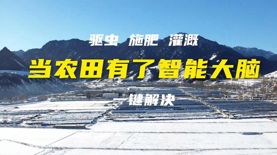 这里有了“智慧大脑”万亩农田两人管