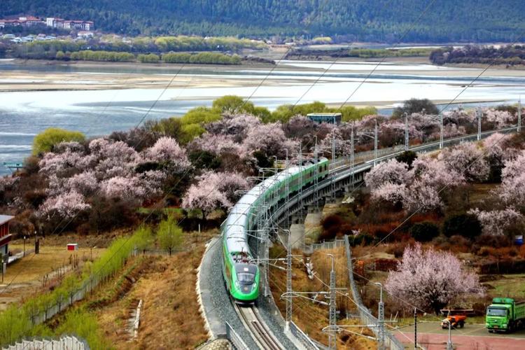 驶向春天的高原旅游列车