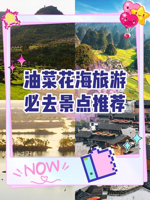 徜徉千亩油菜花海 苏州这条新线路等你来打卡