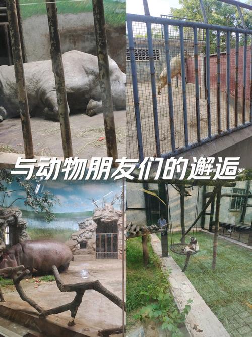 清明 遇见自然丨北京动物园限定玩法等您来解锁！