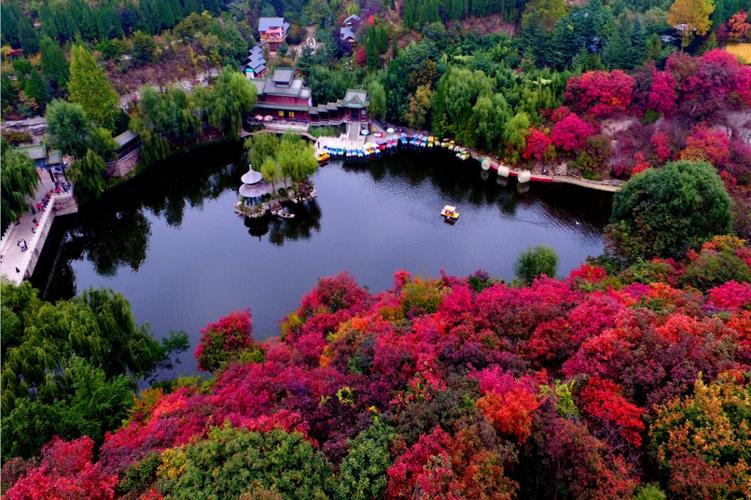 清明假期，济南红叶谷景区成赏花踏春热门目的地