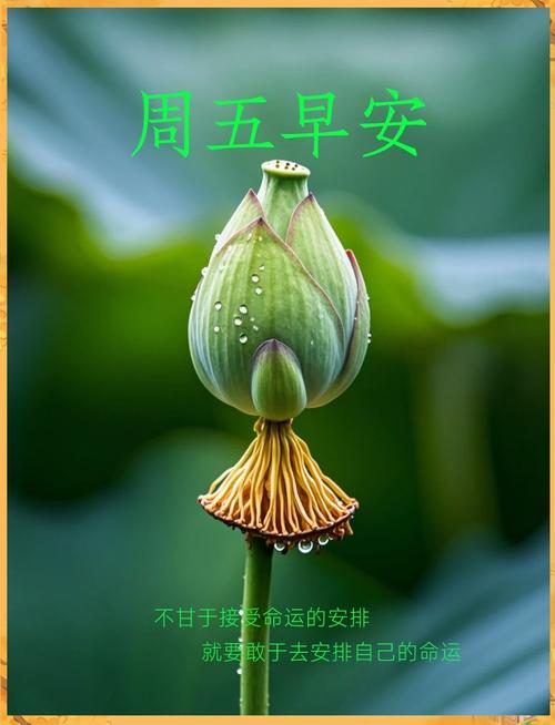 早安·五大连池|2025.04.04星期五