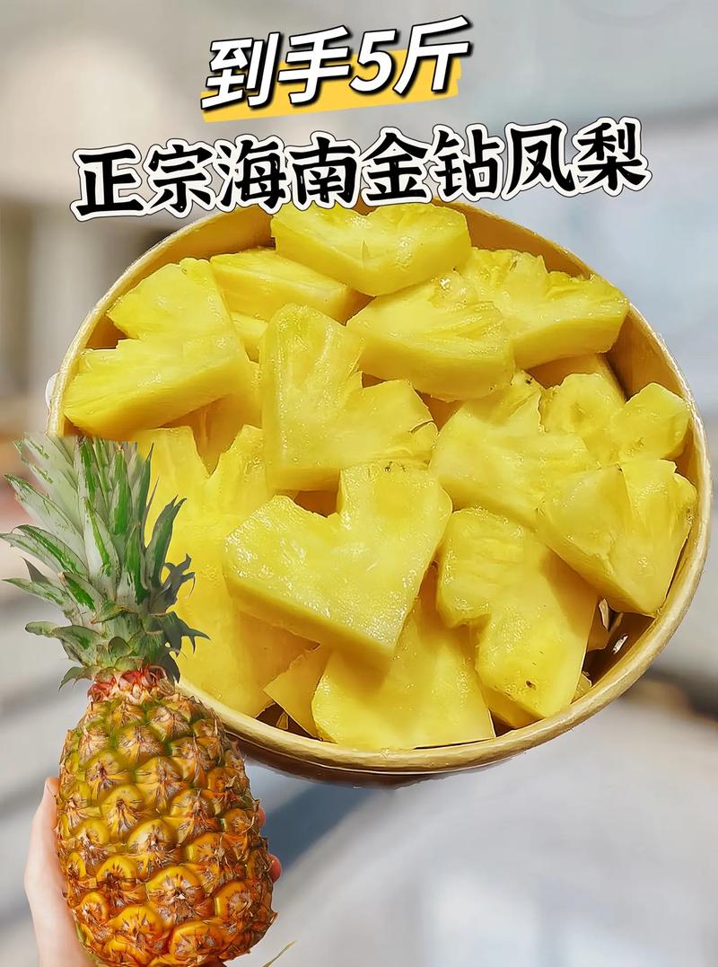海南金钻凤梨特大果30块钱两个海口直发全国包邮