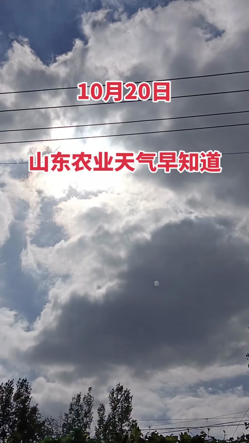 山东4月4号天气，新一轮降雨来袭，阵雨小雨“覆盖”如下