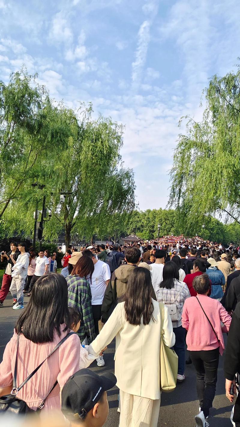 又又又挤爆了！杭州网友：没想到这么多人，挤得手机都掏不出