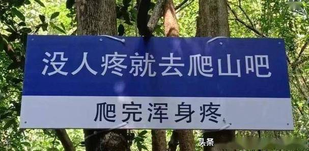 上班暂停！清明来这五座“自动挡懒人名山”山一步不爬，景一处不落！