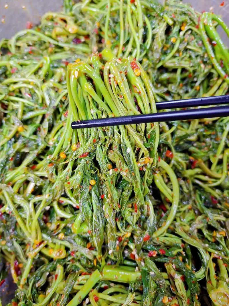 腌香椿时：可别只会加盐，记住这2点，入味好吃，放一年不会坏