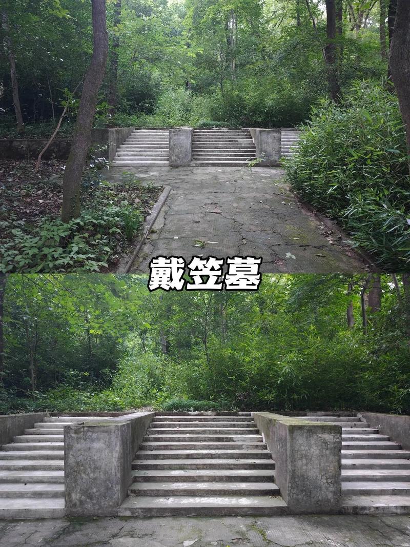 “军统王”戴笠的墓竟藏于南京老林深处！军统王