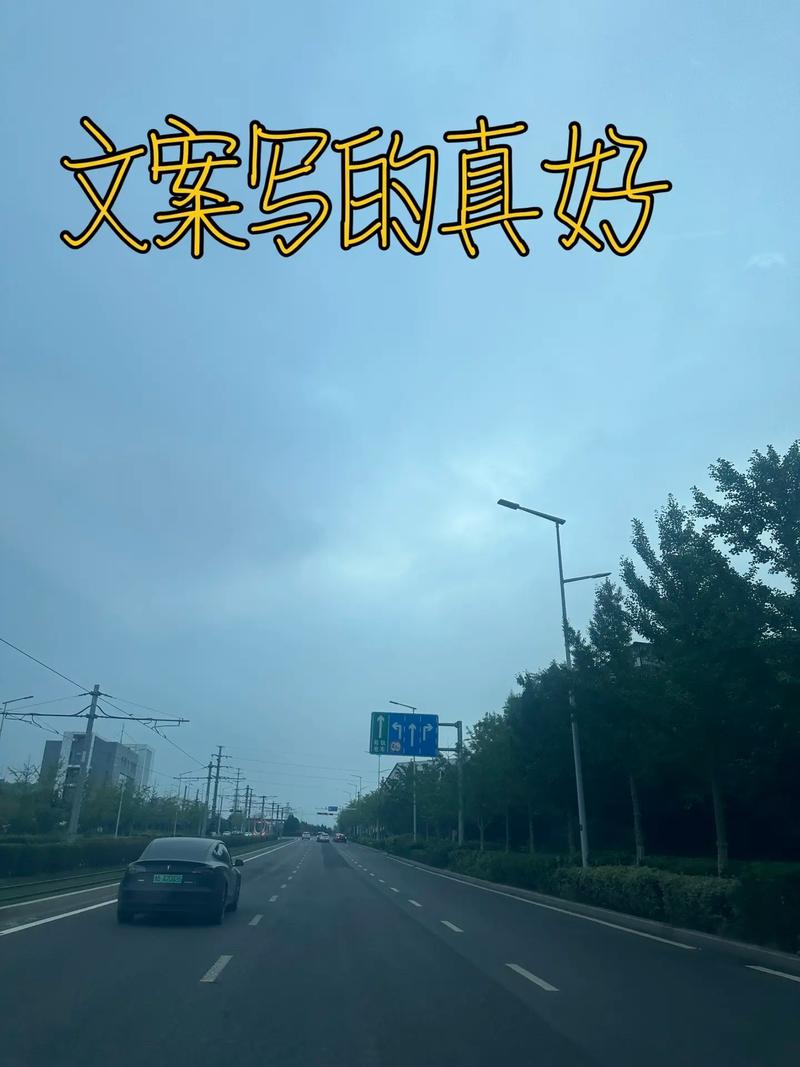 《别再羡慕饺子了，饺子的生活你一天也坚持不了！