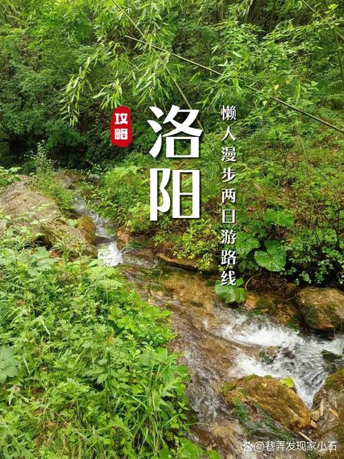 【洛阳·早安】踏青思故，一览春光