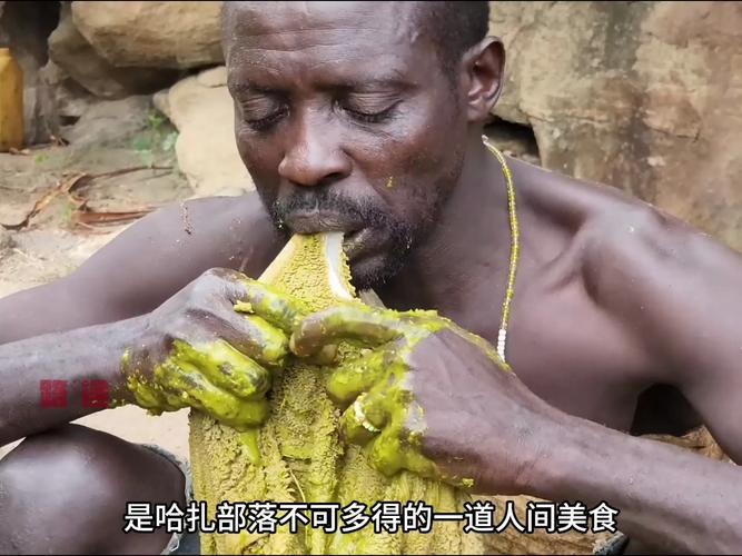 哈扎比部落 烹饪和食用猎物