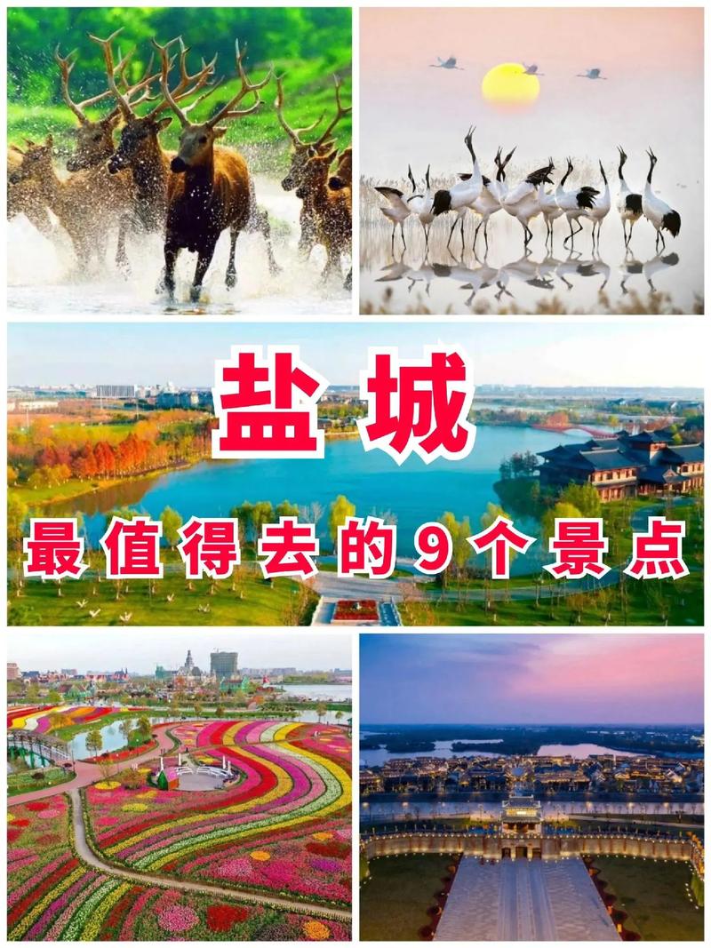 #江苏“镇”好玩 800年不冷场，江苏有自己的“水上奥运会”