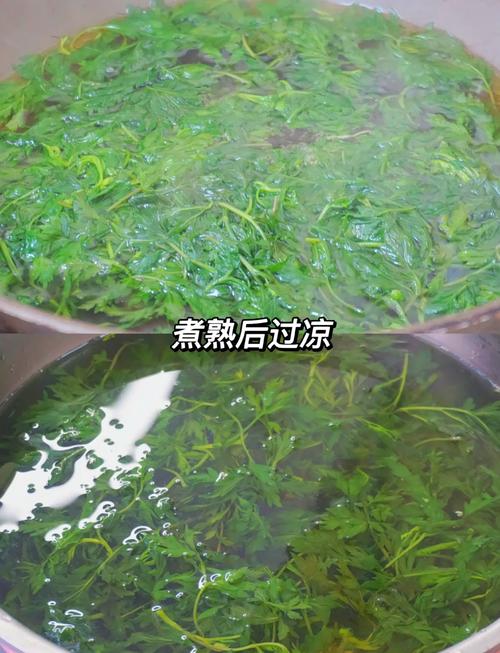 清明吃青团，注意这5点更健康！