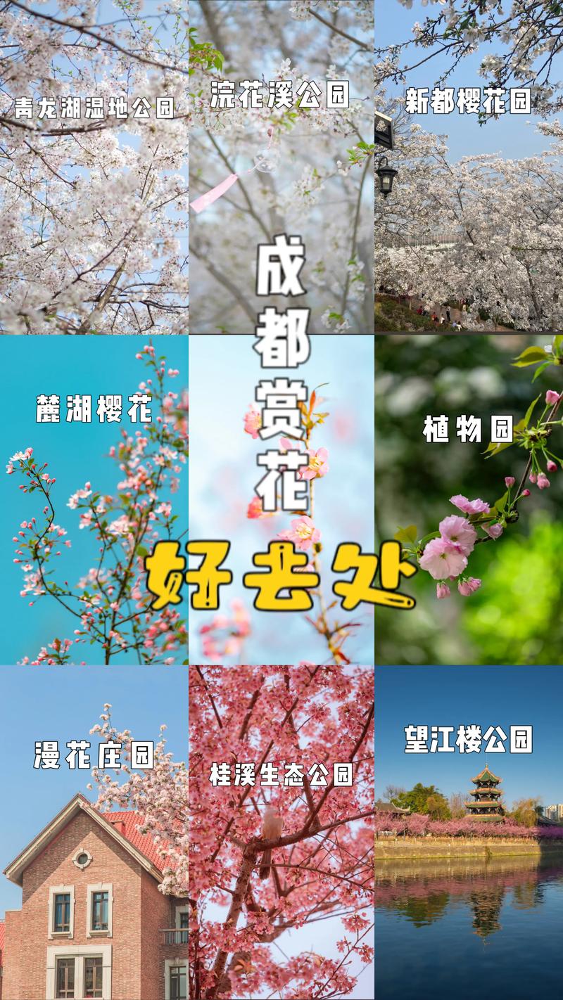 花开烂漫，踏春正好！清明假期这些踏青好去处等你来打卡！