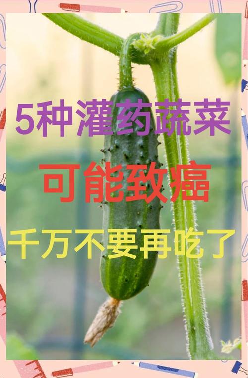原来这几种蔬菜都有“毒”很多人还不知道它们的危险，千万注意