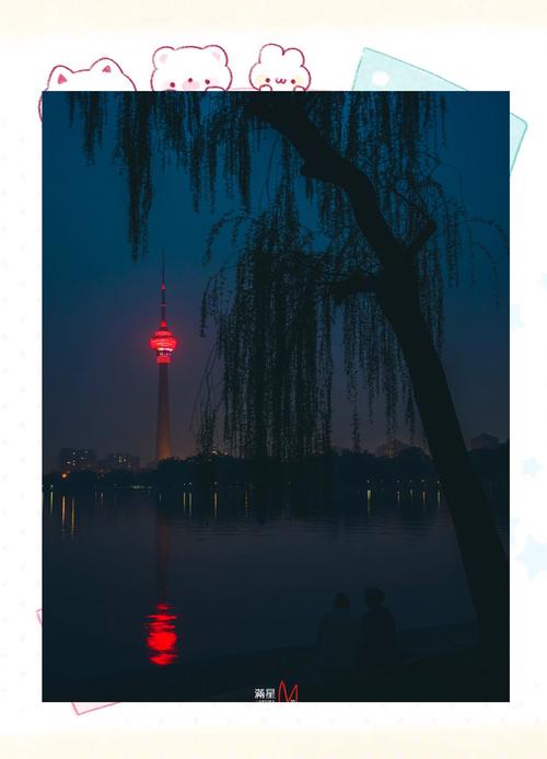 夜赏樱花是怎样的体验？玉渊潭公园清明开启夜景亮化