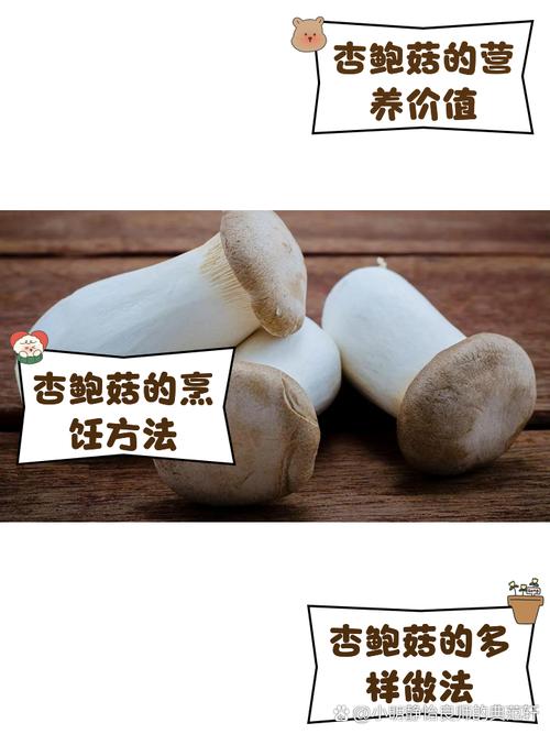 2025年4月7日 第7页