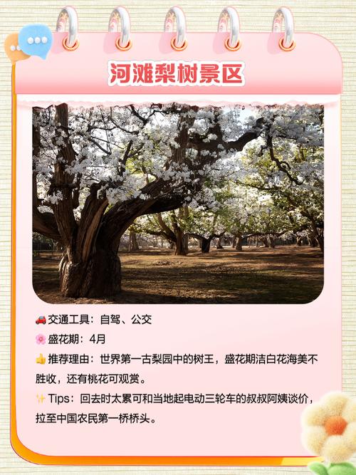 2025年4月8日 第33页