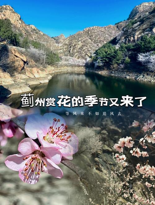 清明风至，踏青 赏花 采春鲜，快来赴一场与大美蓟州的约会吧！