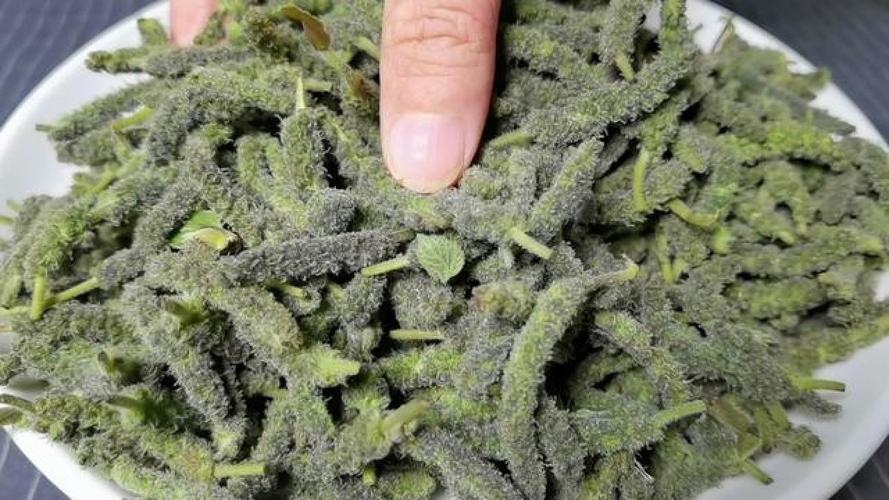 楮不揪不要直接下锅，教你一招，清香可口不苦涩，做法简单还好吃