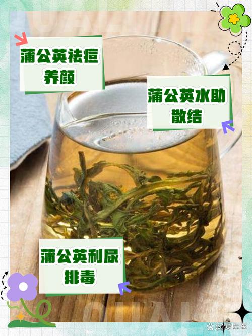 救命菜就在脚下！蒲公英3种神仙吃法，比肉还香还能清血管！