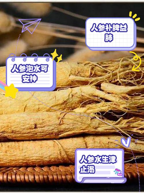 它是便宜的“人参”中老年一周2次，清热消炎、促消化骨骼强壮