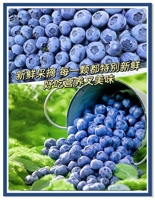 比蓝莓强50倍的“花青素之王”找到了！每天1碗，护肤抗衰不显老