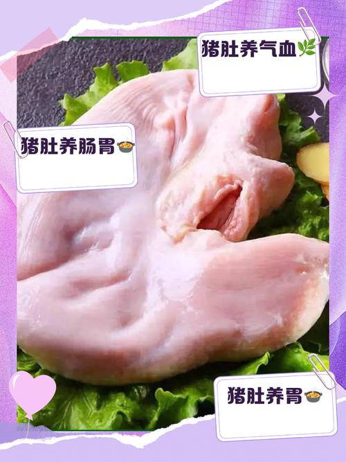 俗话说“一个猪肚十副药”常吃猪肚有什么好处？三类人应舍得吃