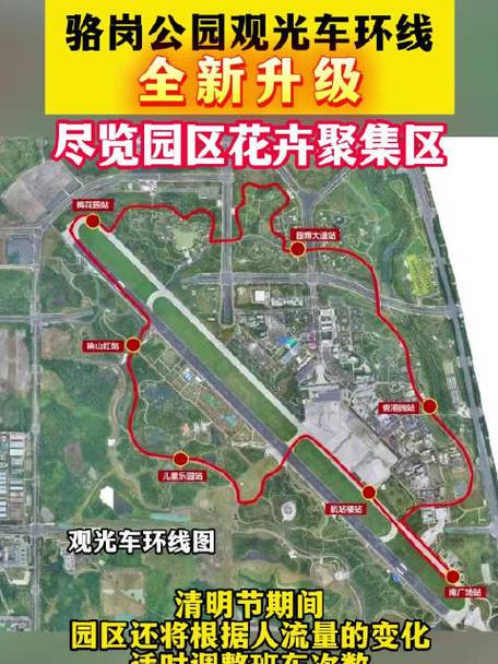 尽览园区花海！骆岗公园观光车环线全新升级