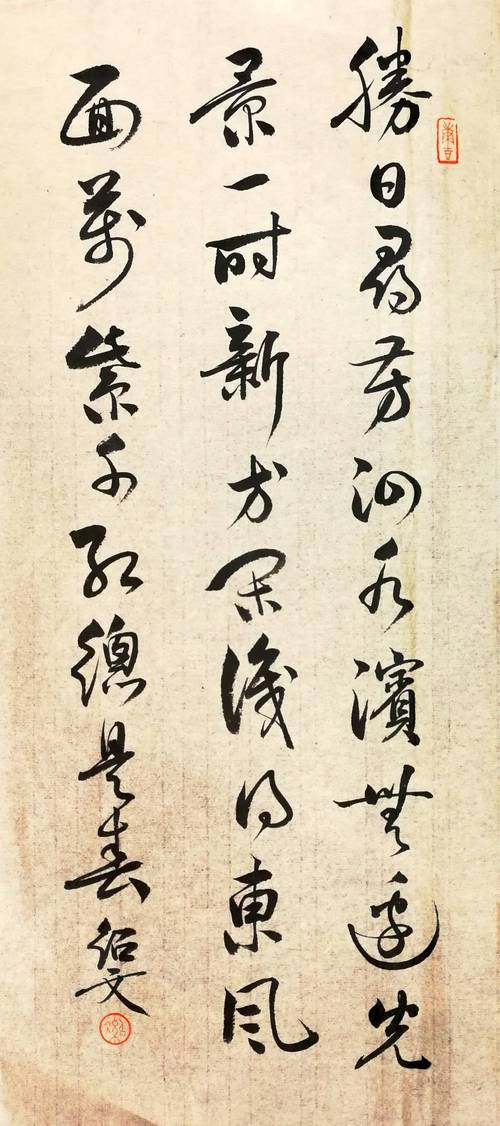 宕昌沙湾：鎏金大地上的春日诗篇