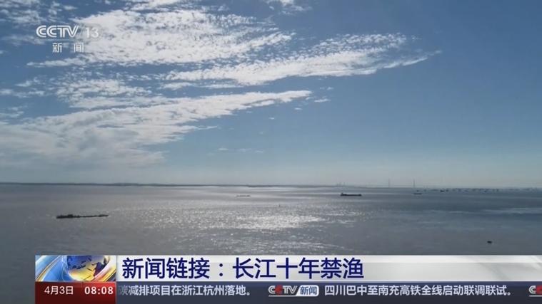 禁渔十年，一夕破功？鄱阳湖“死鱼狂欢”撕开生态治理的遮羞布