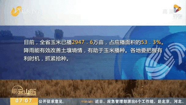 4月3日小麦行情速递：山东面粉厂逆势冒头！粮价"孤岛效应"藏玄机