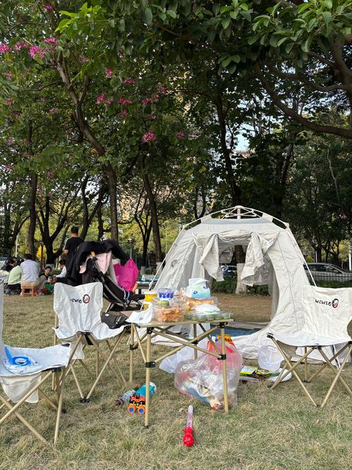 这处免费踏青赏花露营的地方，不会还有人不知道吧