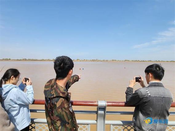 解锁湿地“选修课”相约再会黄河口—2025年“绿皮火车·慢游东营”新媒体宣传推广活动圆满收官