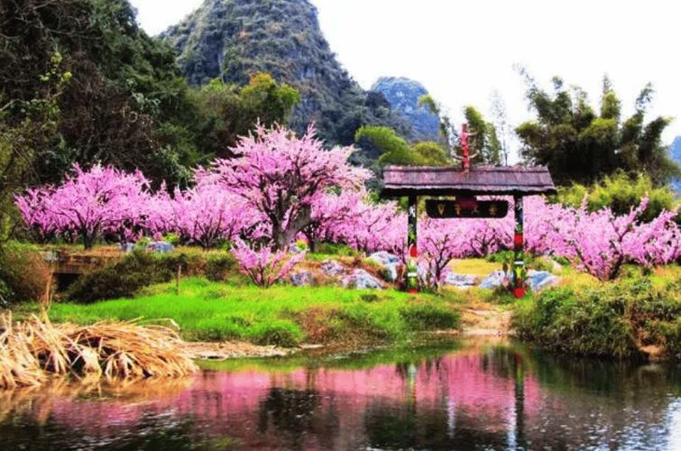 镇江的世外桃源，我在嶂山，桃你欢喜❤桃花盛开 世外桃源