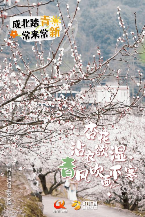 成北踏青，常来常新！这份春日里的小“青新”快查收~